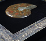 Крупный опализированный мадагаскарский аммонит в багете 506,5 грамм 