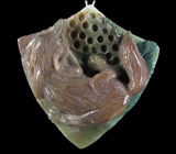 Камея-подвеска "Лисица" из цельного агата 28 грамм 