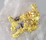 Самородное золото на кварце Золото