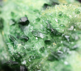 Друза кристаллов зеленого кварца 527 карат 