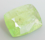 Pargasite (Паргасит) 0,47 карата Не указан