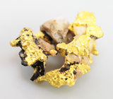 Quartz with gold (Кварц с золотом) 1,69 карата Не указан