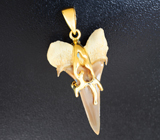 Золотой кулон с ископаемым зубом акулы Jaekelotodus 13,38 карата Золото