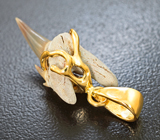 Золотой кулон с ископаемым зубом акулы Jaekelotodus 4,87 карата Золото