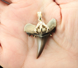 Золотой кулон с редким артефактом - ископаемым зубом акулы Jaekelotodus 19,34 карата Золото