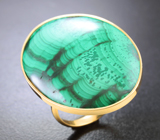 Золотое кольцо с крупным контрастным уральским малахитом 24,72 карата Золото